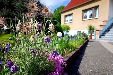 Foto Vollunterkellertes, solides Einfamilienhaus mit tollen, großen Garten zum Wohlfühlen, Austoben und glücklich sein. Foto Vollunterkellertes, solides Einfamilienhaus mit tollen, großen Garten zum Wohlfühlen, Austoben und glücklich sein.